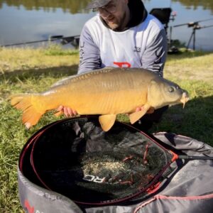 karp na sernik mango 10mm grande