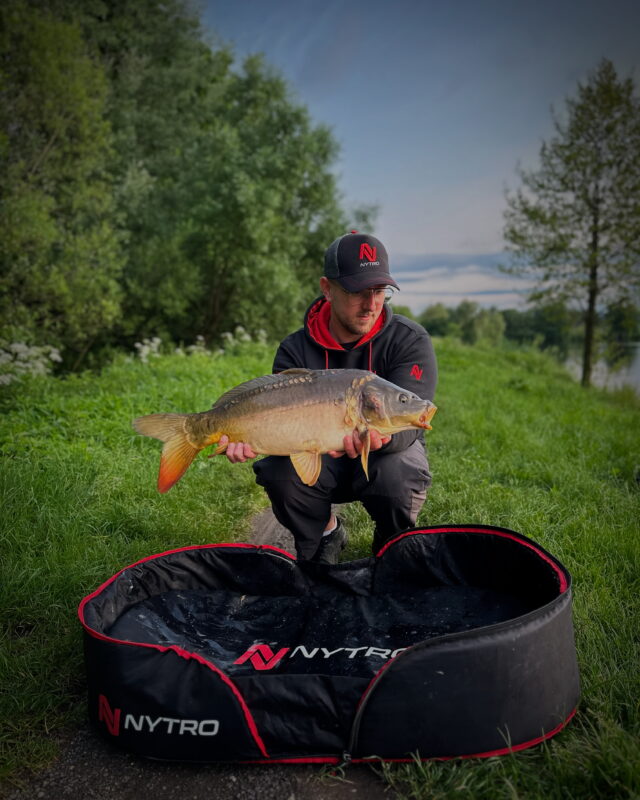 domi baits - przynęty dla każdego domibaits.pl